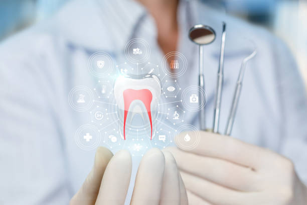 Professional  Holistic Dental Services in Cactus, TX